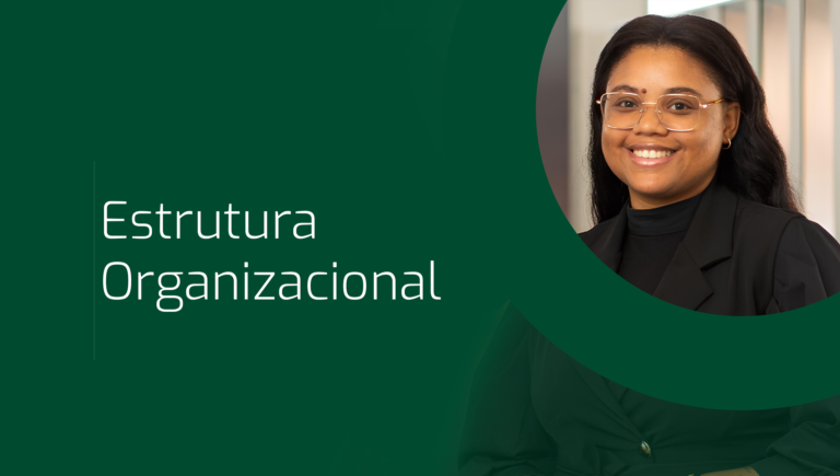 Estrutura  Organizacional